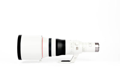 Canon RF 800mm f/5.6 L IS USM Lens