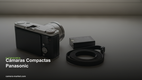 Cámaras Compactas Panasonic — Camera Market
