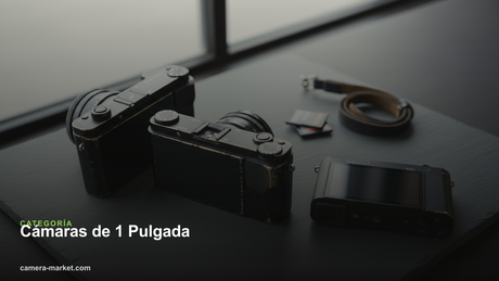 Cámaras de 1 Pulgada — Camera Market