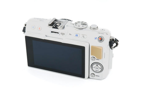 Olympus PEN E-PL5 + FL-LM1 Flitser