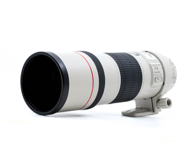 Canon EF 300mm f/4 L USM Lens