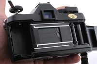 Vue 5