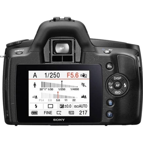 Réflex Alpha DSLR-A290 - Noir + Sony DT 18-55mm f/3.5-5.6 SAM