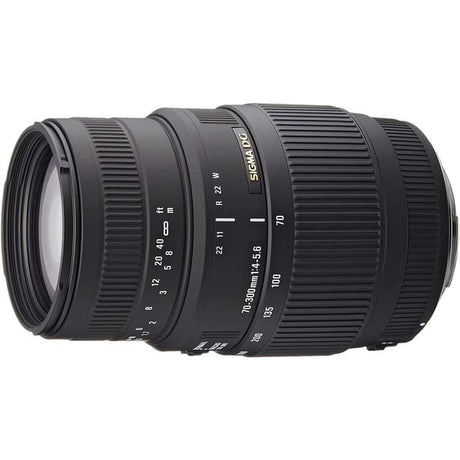 Sigma Sony A 70-300mm f/4-5.6 Lenzen
