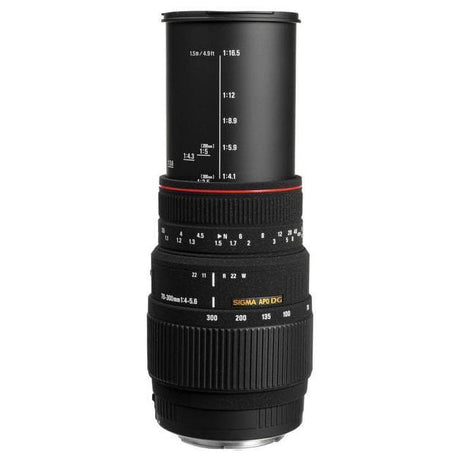 Sigma Sony A 70-300mm f/4-5.6 Lenzen