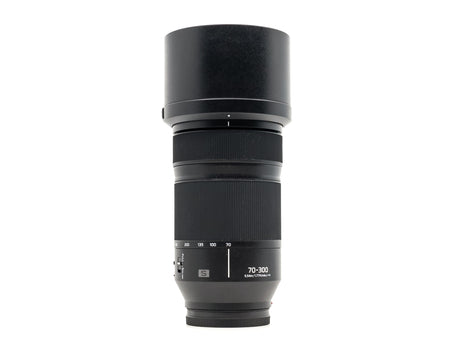 Panasonic Lumix S 70-300mm f/4.5-5.6 Macro OIS
