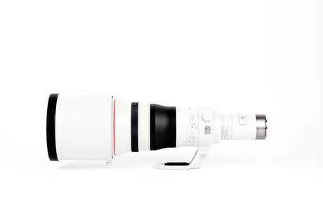 Canon RF 800mm f/5.6 L IS USM Lens