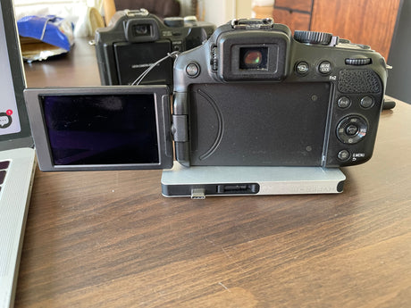 Leica V-Lux 4