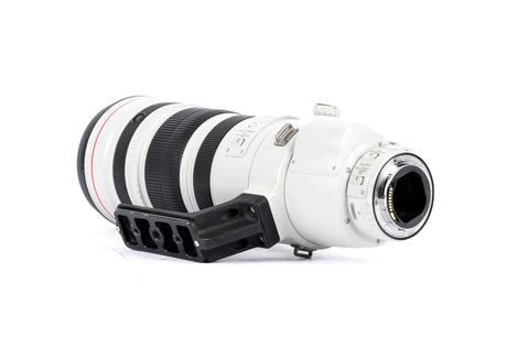 Canon EF 200-400mm f/4 L IS USM avec Extendeur 1,4x