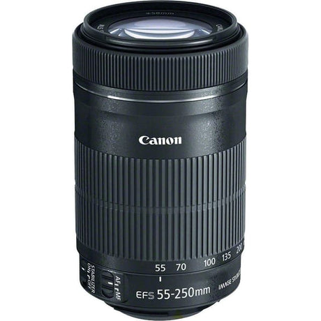 Canon EF 55-250mm f/4.5-5.6 Lenzen