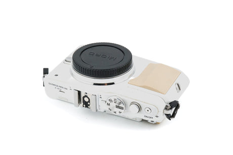 Olympus PEN E-PL5 + FL-LM1 Flitser