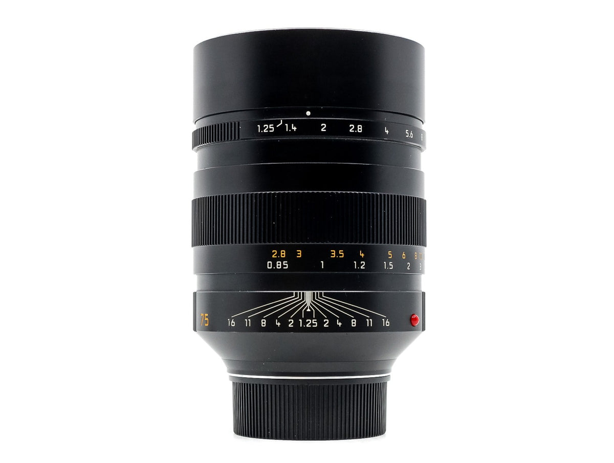 Leica 75mm f/1.25 Noctilux-M ASPH [11676] · image principale