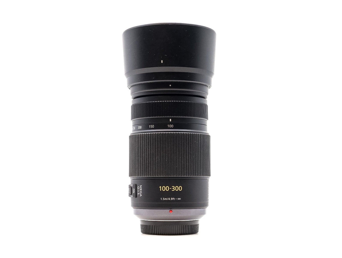 Panasonic Lumix G Vario 100-300mm f/4-5.6 Mega O.I.S. · image principale
