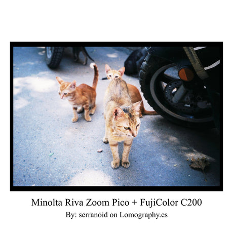 Minolta Riva Zoom Pico - Appareil Photo Compact 35mm