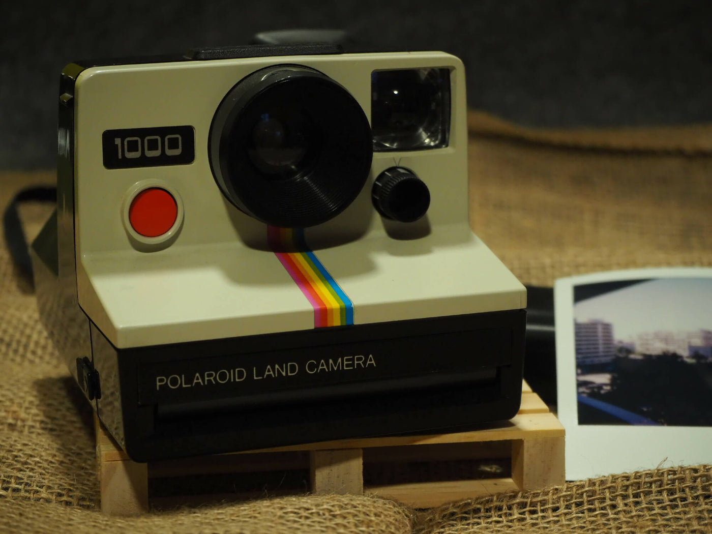 Polaroid Land Camera 1000 kopen | Camera Market · hoofdafbeelding
